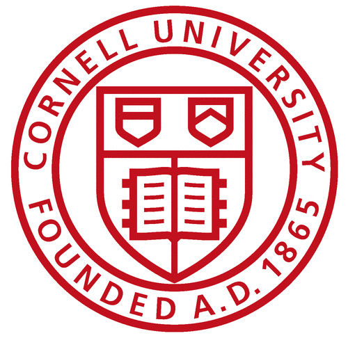Cornell’s Digital Well: A social networking repository for marketing information #heweb11