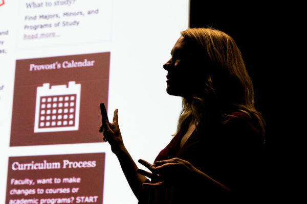 Meaghan Milliorn Fikes presents at HighEdWeb 2019 conference