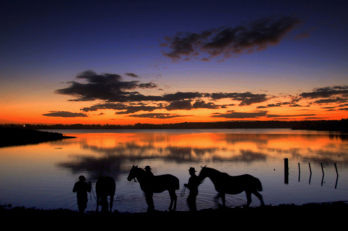 Lead the Horse to Water, And Make Damn Sure It Drinks: How to Lead Successful & Transparent Projects #heweb11