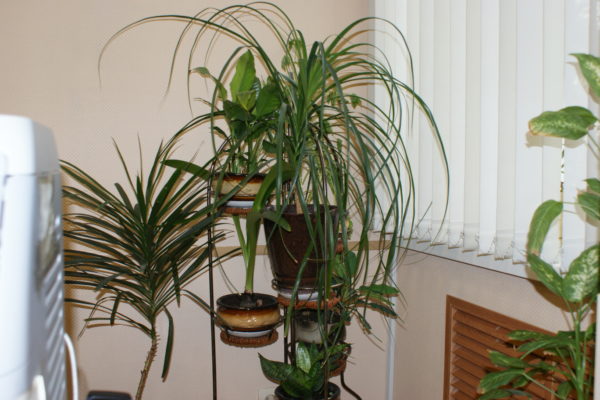 We’re Not Houseplants: Rethinking Community Engagement Strategies in Marketing and Communications #COM1