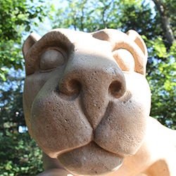 The Nittany Leopard: Usability Testing and the Penn State Website Redesign