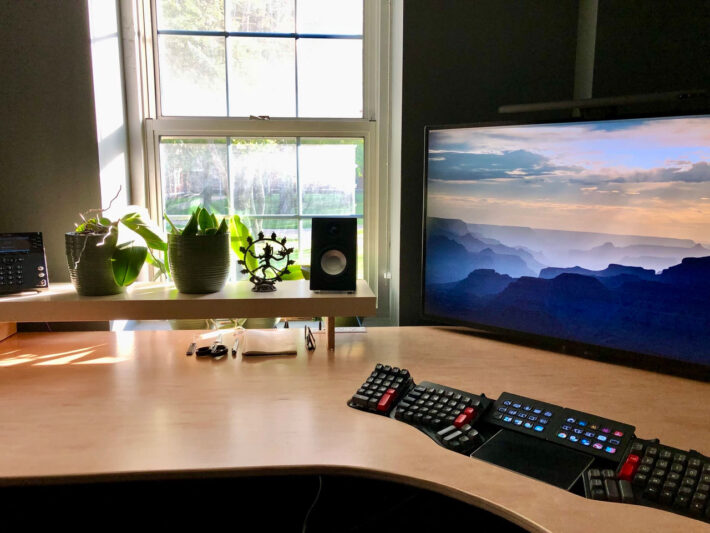 other side of jonathan's desk, with plants and trinkets, with window with sun shining in